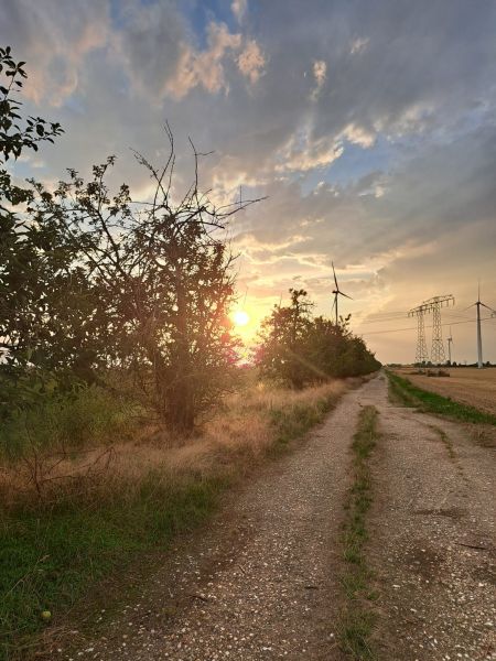 20260802_sommer
